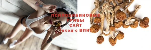 молекула духа Абдулино